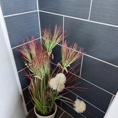 Апартаменты Eichhoernchen Эккернфёрде