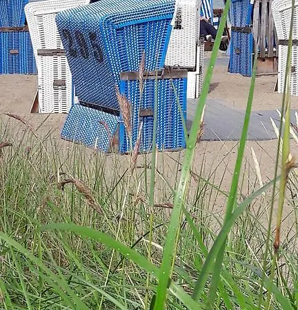 Eichhoernchen * Эккернфёрде