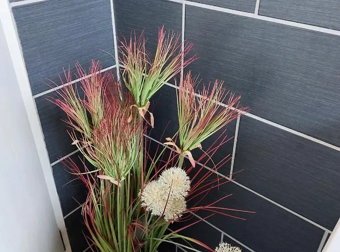 Lägenhet Eichhoernchen Eckernförde