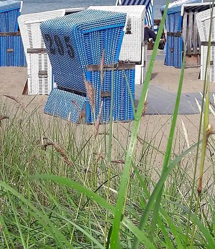 Eichhoernchen * Eckernförde